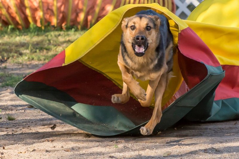 Advanced Agility
